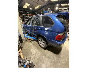 Custode arriere gauche (porte) BMW X5 E53 Diesel