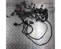 Faisceau moteur BMW X3 E83 PHASE 1 Diesel