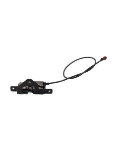 Serrure de coffre BMW X5 E53 Diesel