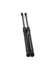 Verin de coffre BMW SERIE 1 E87 PHASE 2 