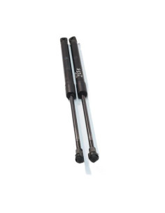 Verin de coffre BMW SERIE 1 E87 PHASE 2 Diesel 2