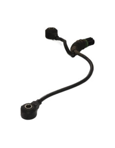 Capteur BMW SERIE 3 E46 PHASE 2 Essence 2