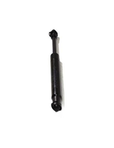 Verin de coffre BMW X5 F15 