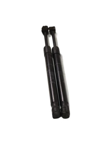 Verin de capot BMW X5 F15 