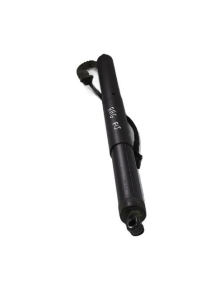 Verin de coffre gauche BMW X5 F15 
