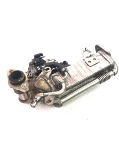 Radiateur EGR BMW SERIE 1 F40 Diesel