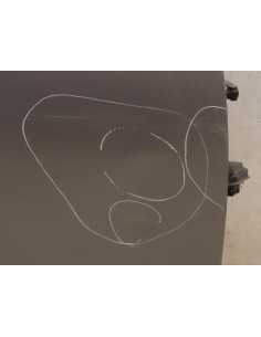 Porte avant droit BMW SERIE 5 E60 Essence 2