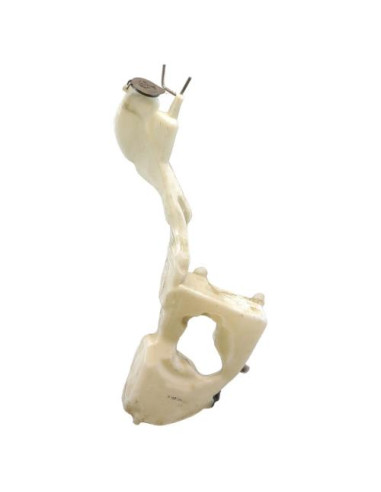 Vase de lave glace MINI MINI 2 R56 PHASE 2 Diesel