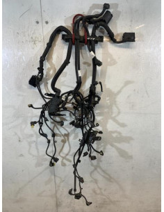 Faisceau moteur BMW SERIE 1 F20 PHASE 2 Essence