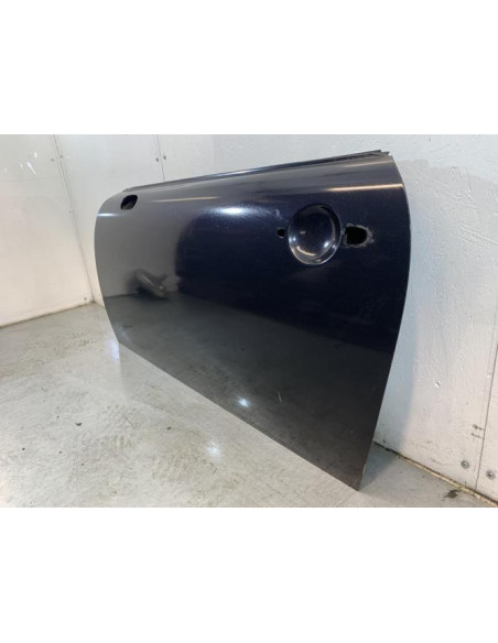 Porte avant gauche MINI MINI 1 R50/R53 PHASE 1 Essence