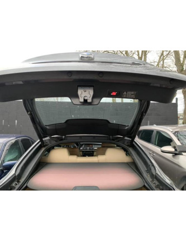 Antenne BMW X6 E71 PHASE 1 Diesel