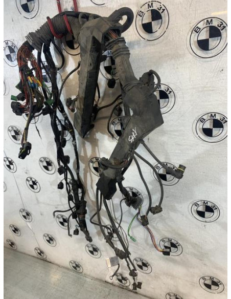 Faisceau moteur BMW SERIE 7 E66 LIMOUSINE PHASE 1 Essence