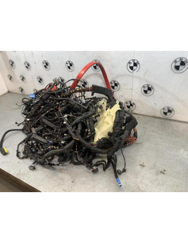 Faisceau moteur BMW SERIE 6 E63 COUPE 