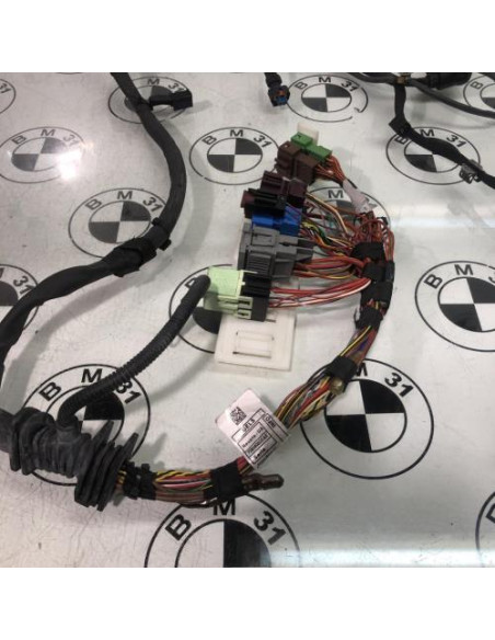 Faisceau moteur BMW X6 F16 