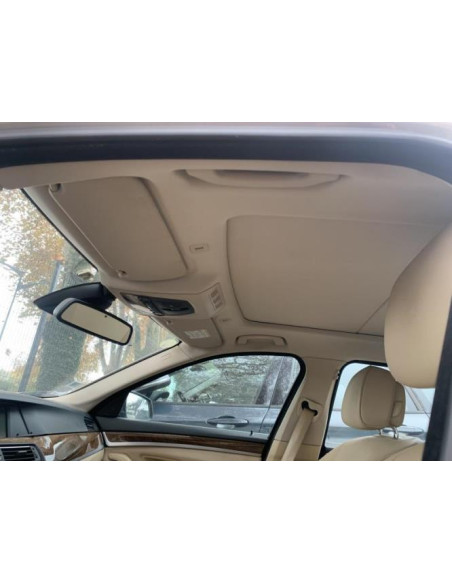 Eclairage de plafonnier BMW SERIE 5 F11 TOURING PHASE 1 BREAK Diesel
