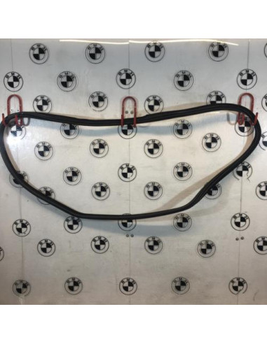 Joint de porte arriere gauche BMW X6 F16 