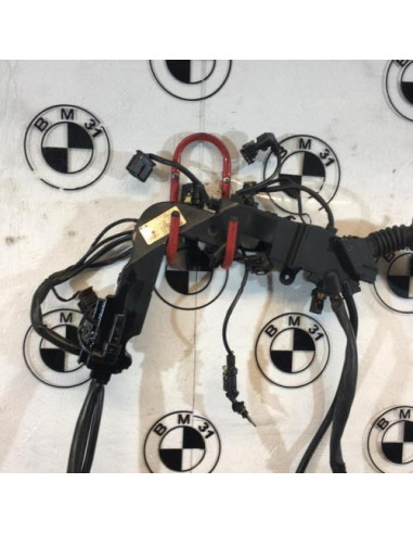 Faisceau moteur BMW SERIE 5 F10 PHASE 2 Diesel