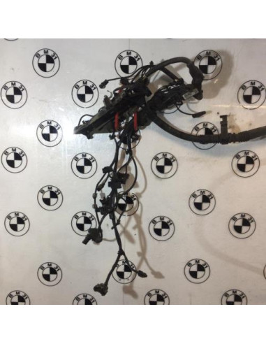 Faisceau moteur BMW X3 F25 PHASE 1 Diesel