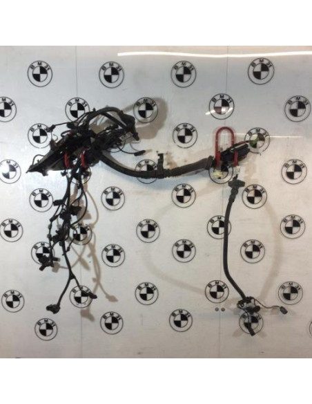 Faisceau moteur BMW X3 F25 PHASE 1 Diesel