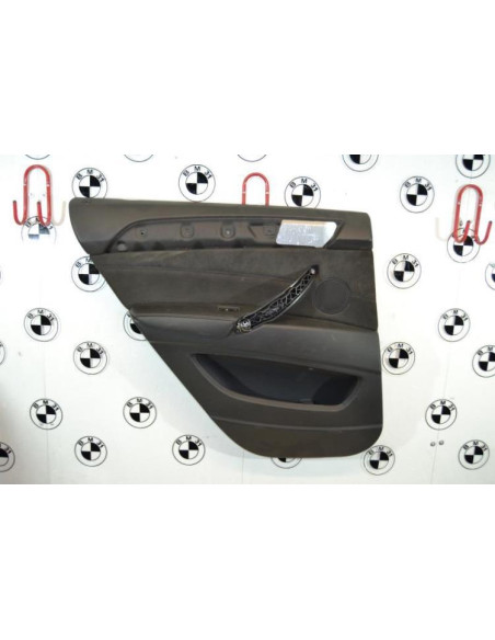 Panneau de porte arriere gauche BMW X6 E71 PHASE 1 Essence