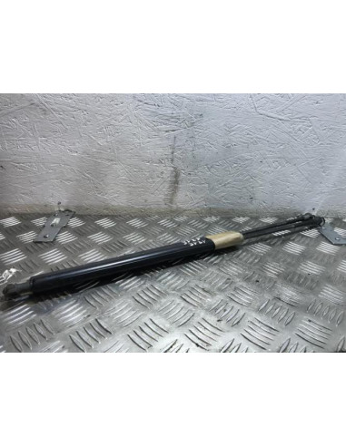 Verin de coffre BMW X5 E53 Diesel