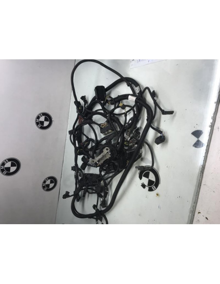 Faisceau moteur BMW SERIE 2 (F22) 