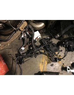 Faisceau moteur BMW SERIE 1 (F20) 