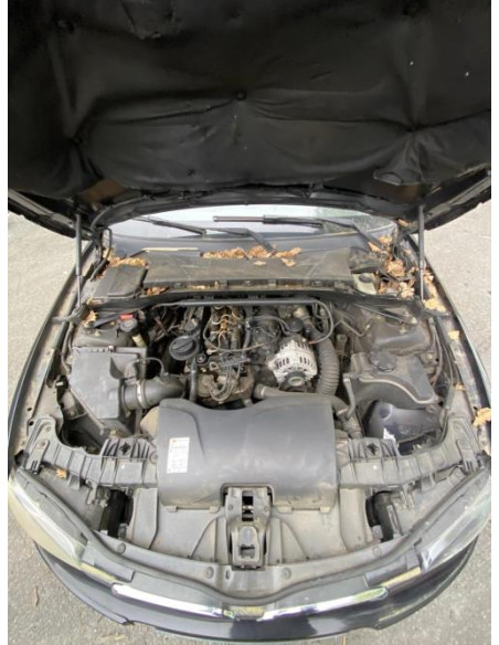 Support poignee porte avant gauche BMW SERIE 1 E87 PHASE 2 Diesel