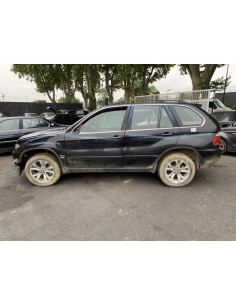 Custode arriere gauche (porte) BMW X5 E53 Diesel
