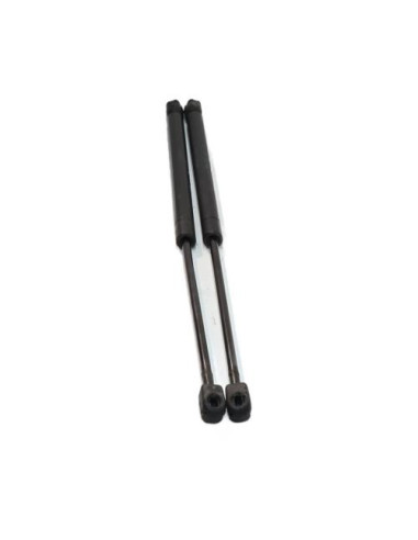 Verin de coffre MINI MINI 1 R50/R53 PHASE 1 Essence