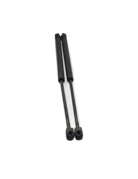 Verin de coffre MINI MINI 1 R50/R53 PHASE 1 Essence