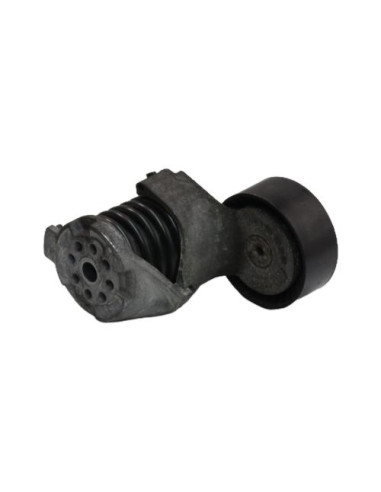 Galet tendeur BMW SERIE 1 E81 Essence