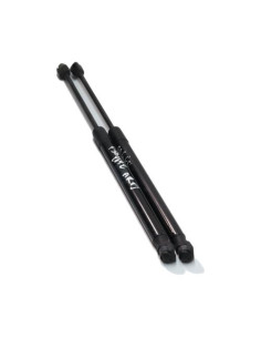Verin de coffre MINI MINI 3 F56 PHASE 1 Diesel 2