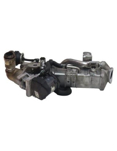 Radiateur EGR BMW SERIE 1 F20 PHASE 1 Diesel