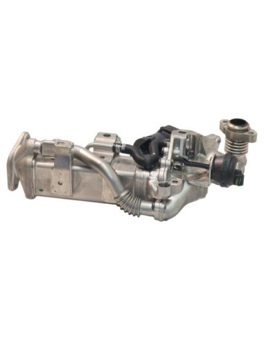 Radiateur EGR BMW SERIE 5 F10 PHASE 1 Diesel