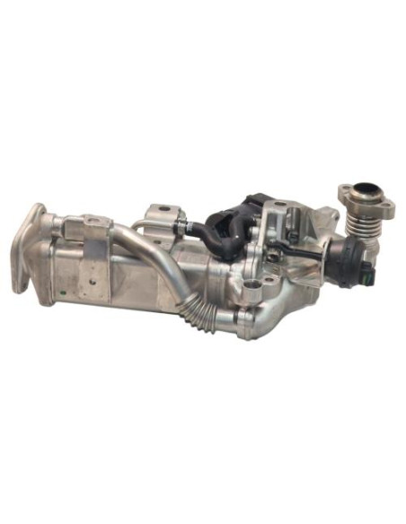 Radiateur EGR BMW SERIE 5 F10 PHASE 1 Diesel
