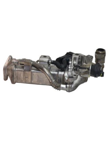 Radiateur EGR BMW SERIE 3 F31 TOURING PHASE 1 BREAK Diesel