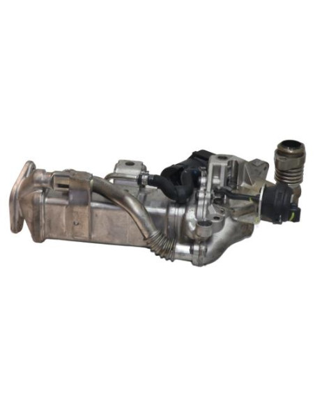Radiateur EGR BMW SERIE 3 F31 TOURING PHASE 1 BREAK Diesel