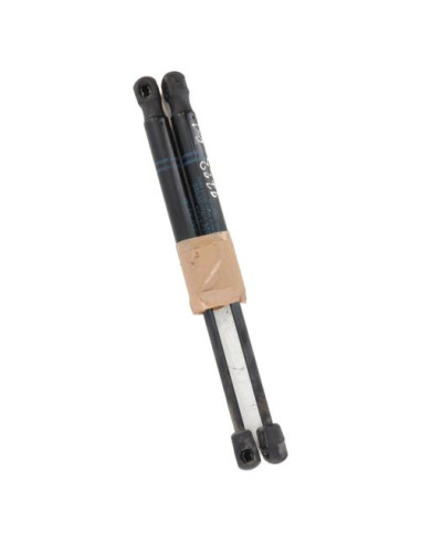 Verin de capot BMW SERIE 3 F30 PHASE 1 Diesel