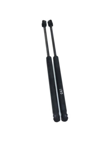 Verin de coffre MINI MINI 2 R56 PHASE 1 Essence