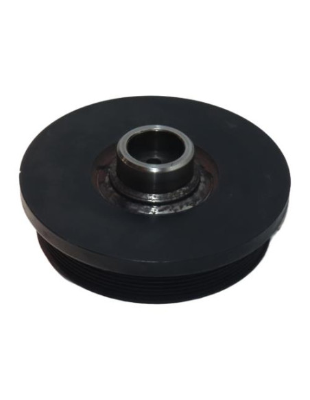 Poulie damper BMW X6 E71 PHASE 1 Diesel