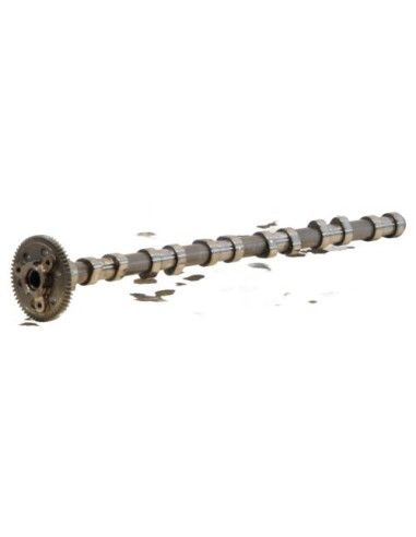 Arbre a came BMW SERIE 3 E90 PHASE 1 Diesel