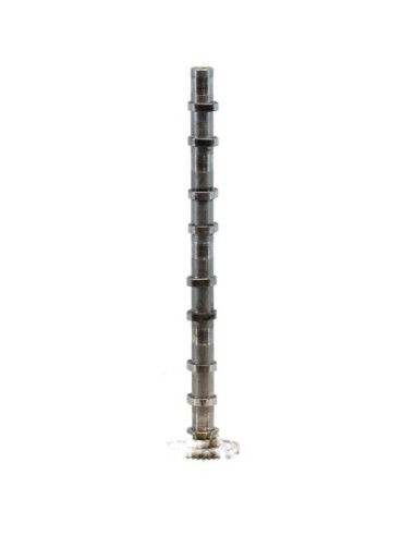 Arbre a came BMW SERIE 1 F21 PHASE 1 Diesel