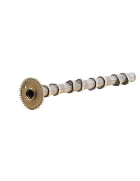Arbre a came BMW SERIE 1 F21 PHASE 1 Diesel