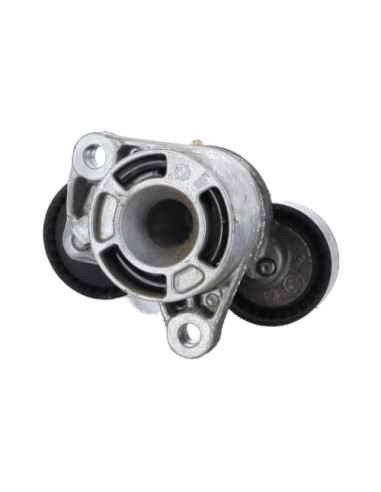 Galet tendeur BMW SERIE 1 F21 PHASE 1 Diesel