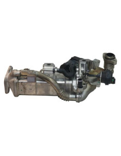 Radiateur EGR BMW X5 F15 Diesel 2