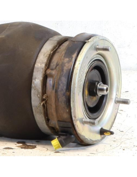 Suspension pneumatique avant droit BMW X5 E53 