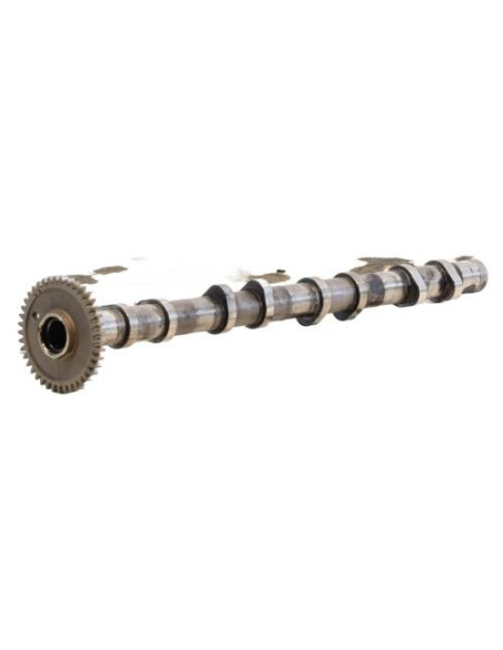Arbre a came BMW SERIE 1 F20 PHASE 1 Diesel