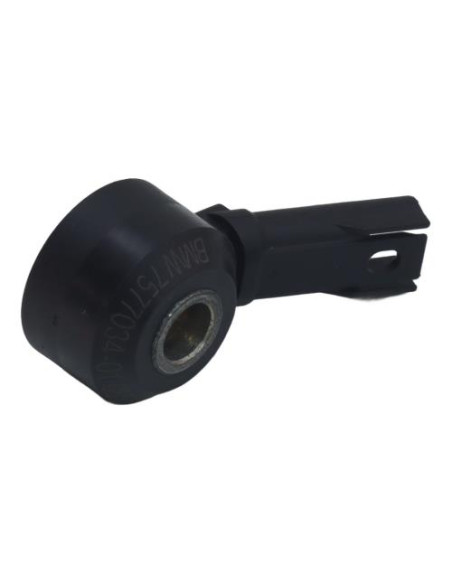 Capteur BMW SERIE 5 F10 PHASE 1 Essence