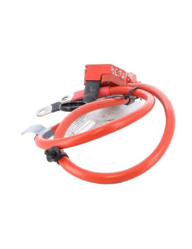 Cosse de batterie BMW SERIE 1 F21 PHASE 1 Diesel